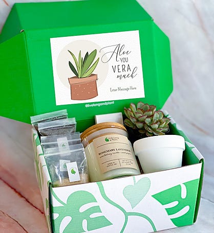 Aloe You Very Much Succulent Gift Box